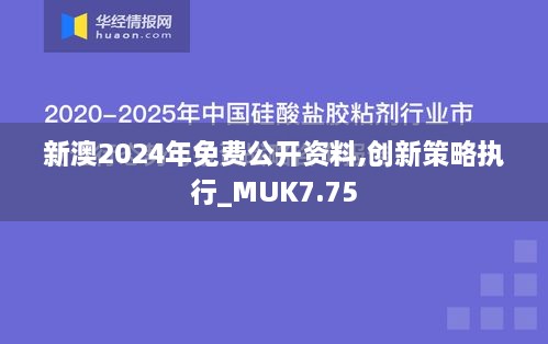 新澳2024年免费公开资料,创新策略执行_MUK7.75