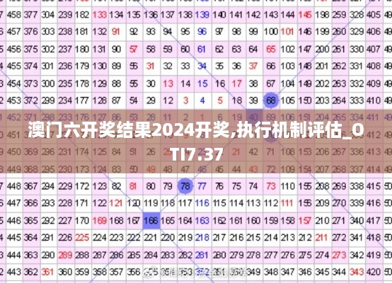 澳门六开奖结果2024开奖,执行机制评估_OTI7.37