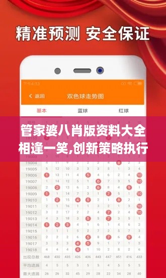 管家婆八肖版资料大全相逢一笑,创新策略执行_DFH7.10