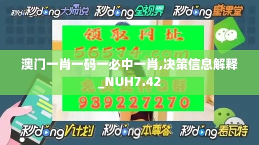 澳门一肖一码一必中一肖,决策信息解释_NUH7.42