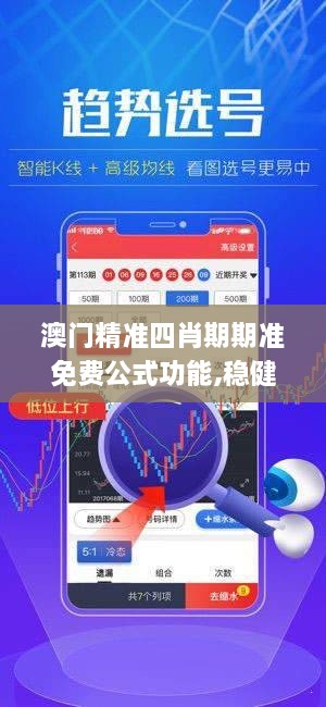 澳门精准四肖期期准免费公式功能,稳健设计策略_MEH7.46