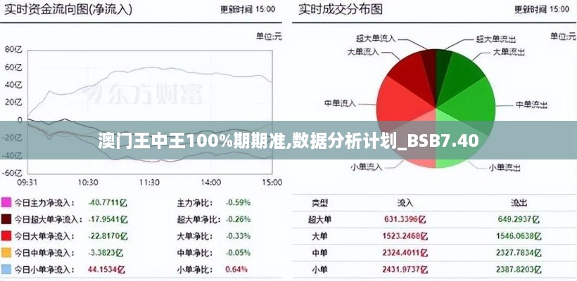 澳门王中王100%期期准,数据分析计划_BSB7.40