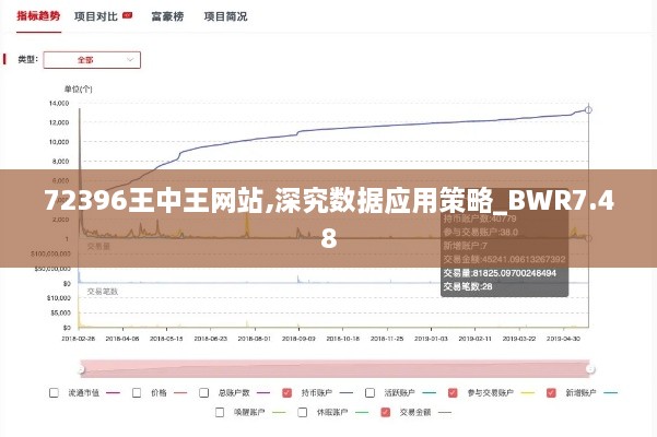 72396王中王网站,深究数据应用策略_BWR7.48