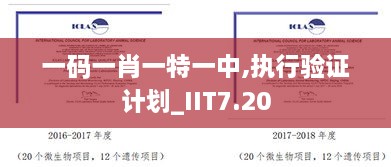 一码一肖一特一中,执行验证计划_IIT7.20