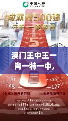 澳门王中王一肖一特一中,策略规划_MQB7.48