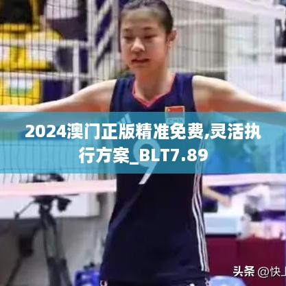 2024澳门正版精准免费,灵活执行方案_BLT7.89