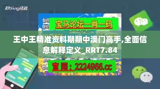 王中王精准资料期期中澳门高手,全面信息解释定义_RRT7.84