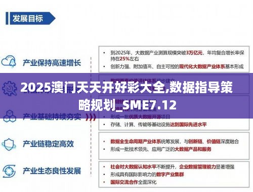 2025澳门天天开好彩大全,数据指导策略规划_SME7.12