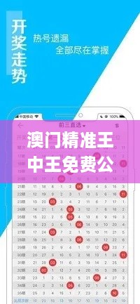 澳门精准王中王免费公开,决策过程资料_OAW7.15