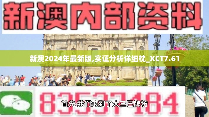 新澳2024年最新版,实证分析详细枕_XCT7.61