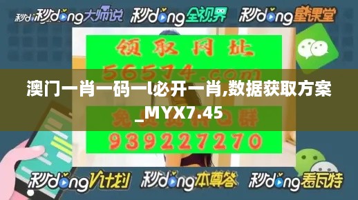 澳门一肖一码一l必开一肖,数据获取方案_MYX7.45