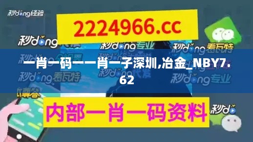 一肖一码一一肖一子深圳,冶金_NBY7.62