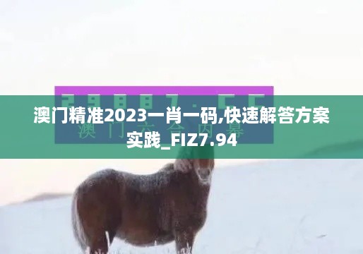 澳门精准2023一肖一码,快速解答方案实践_FIZ7.94