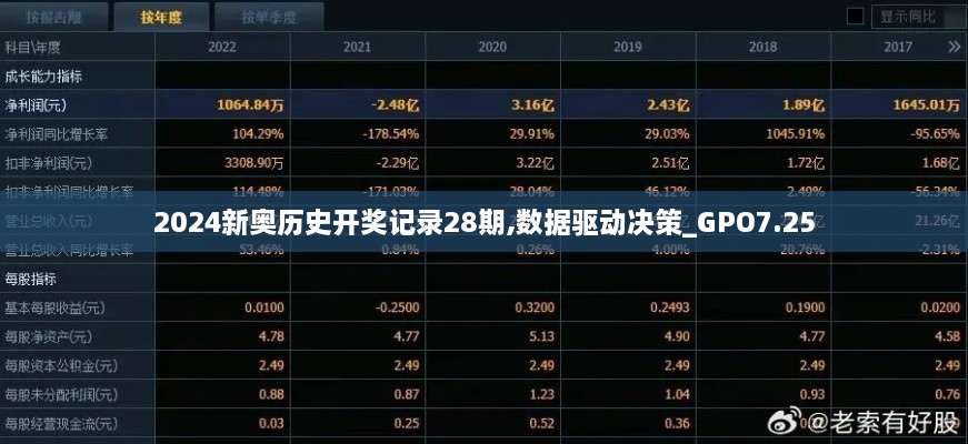 2024新奥历史开奖记录28期,数据驱动决策_GPO7.25