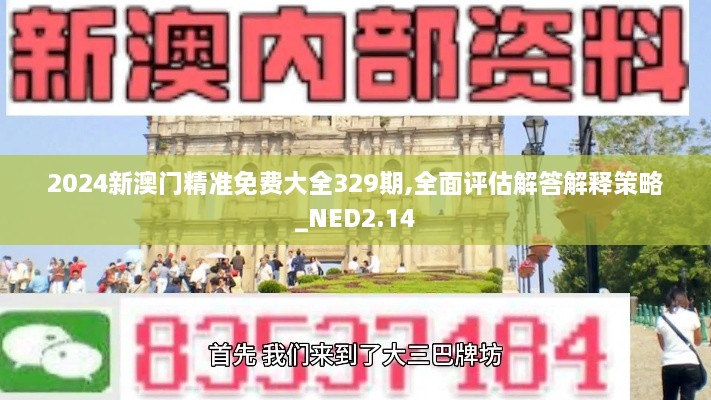 2024新澳门精准免费大全329期,全面评估解答解释策略_NED2.14