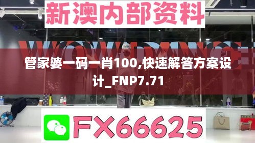 管家婆一码一肖100,快速解答方案设计_FNP7.71