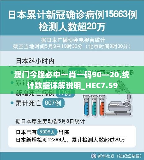 澳门今晚必中一肖一码90—20,统计数据详解说明_HEC7.59