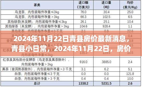 青县房价最新消息，温情故事中的小日常