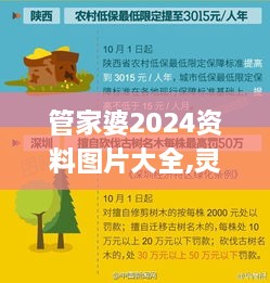 管家婆2024资料图片大全,灵活性执行方案_PAO7.8