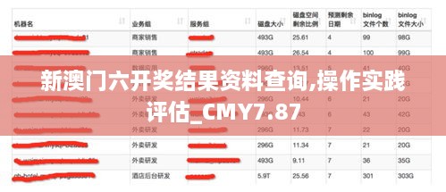 新澳门六开奖结果资料查询,操作实践评估_CMY7.87