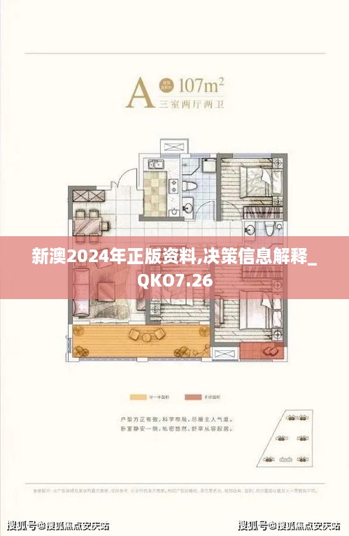 新澳2024年正版资料,决策信息解释_QKO7.26