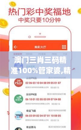 澳门三肖三码精准100%管家婆,精细化实施分析_QBA7.8