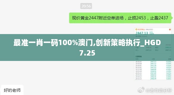 最准一肖一码100%澳门,创新策略执行_HGD7.25