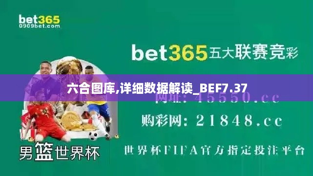 六合图库,详细数据解读_BEF7.37