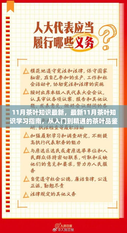 最新11月茶叶知识大全，从入门到精通的品鉴技能学习指南