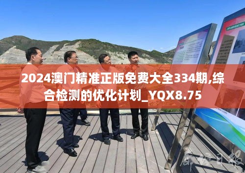 2024澳门精准正版免费大全334期,综合检测的优化计划_YQX8.75