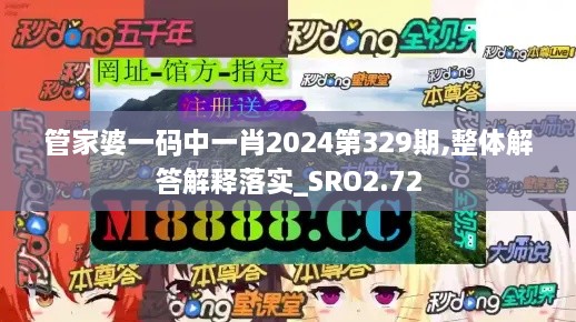 管家婆一码中一肖2024第329期,整体解答解释落实_SRO2.72