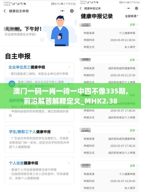 澳门一码一肖一待一中四不像335期,前沿解答解释定义_MHK2.38