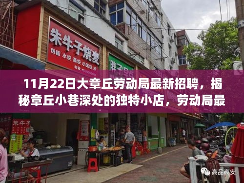 揭秘章丘小巷独特小店与劳动局最新招聘背后的故事