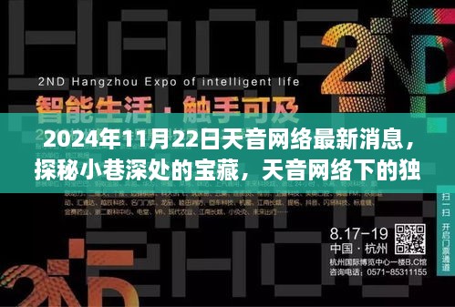 探秘天音网络，小巷深处的宝藏与未知惊喜（2024年11月22日最新消息）