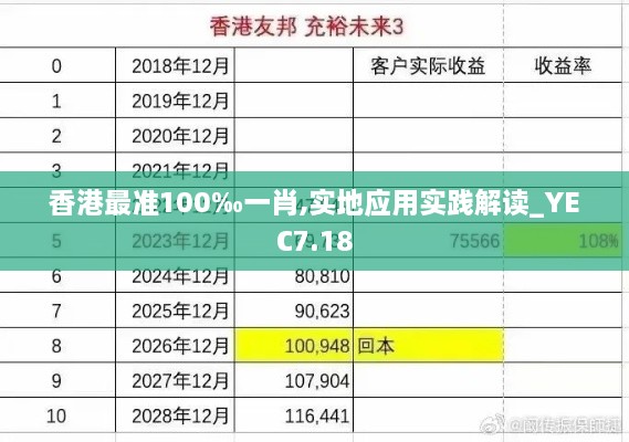 香港最准100‰一肖,实地应用实践解读_YEC7.18