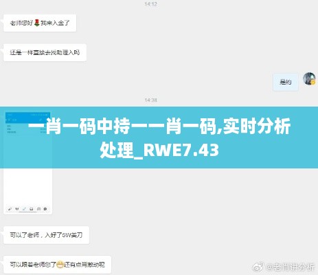 一肖一码中持一一肖一码,实时分析处理_RWE7.43