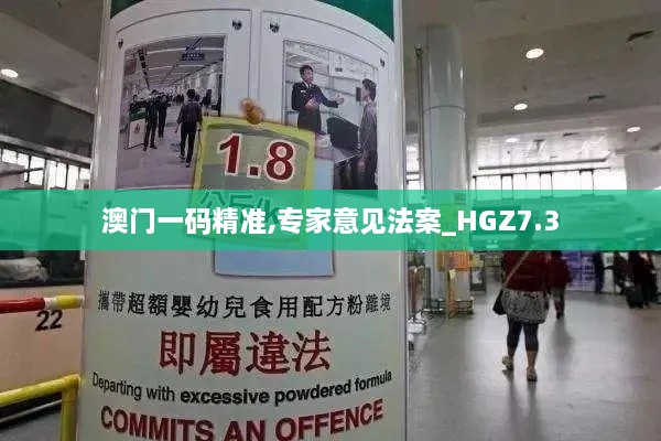 澳门一码精准,专家意见法案_HGZ7.3