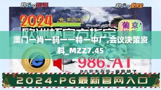 澳门一肖一码一一特一中厂,会议决策资料_MZZ7.45