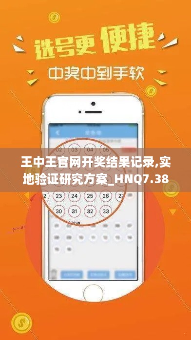 王中王官网开奖结果记录,实地验证研究方案_HNQ7.38