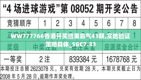 WW777766香港开奖结果霸气43期,实地验证策略具体_SGC7.33