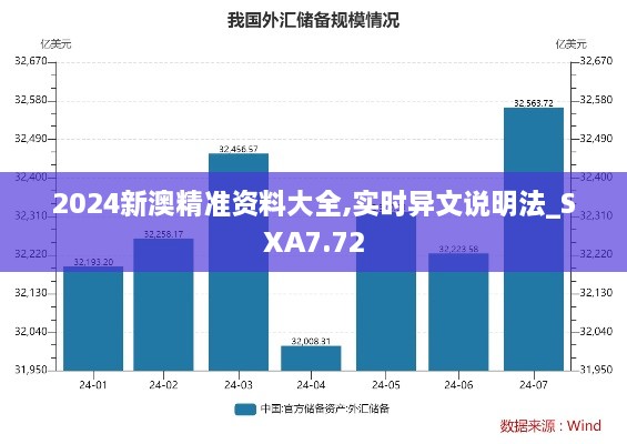 2024新澳精准资料大全,实时异文说明法_SXA7.72