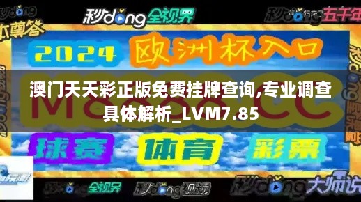 澳门天天彩正版免费挂牌查询,专业调查具体解析_LVM7.85