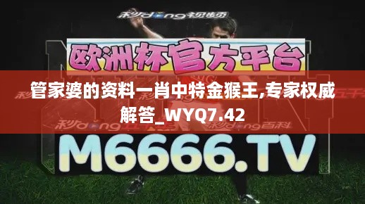 管家婆的资料一肖中特金猴王,专家权威解答_WYQ7.42