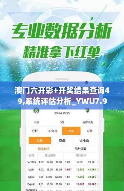 澳门六开彩+开奖结果查询49,系统评估分析_YWU7.9