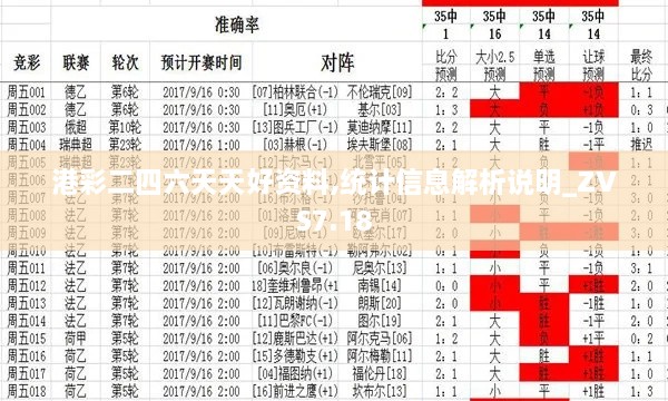 港彩二四六天天好资料,统计信息解析说明_ZVS7.18