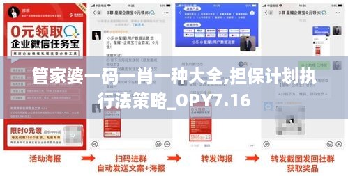 管家婆一码一肖一种大全,担保计划执行法策略_OPY7.16