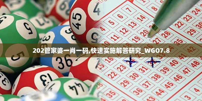 202管家婆一肖一码,快速实施解答研究_WGO7.8