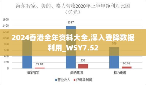 2024香港全年资料大全,深入登降数据利用_WSY7.52