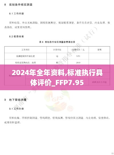 2024年全年资料,标准执行具体评价_FFP7.95