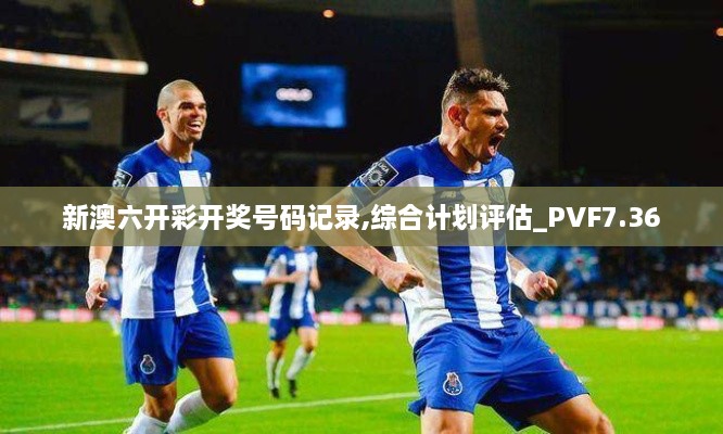 新澳六开彩开奖号码记录,综合计划评估_PVF7.36